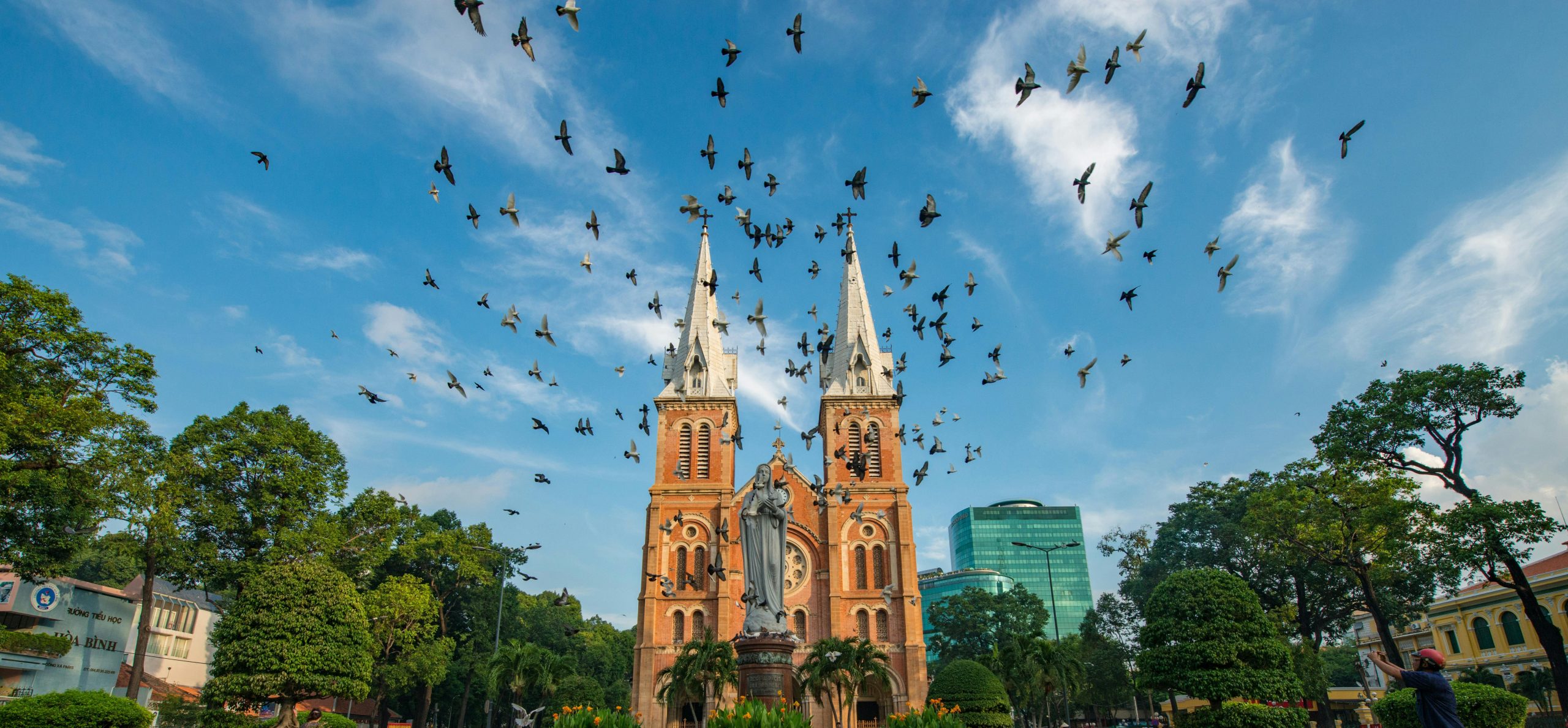 pexels-binh-ho-image-355440-1018478