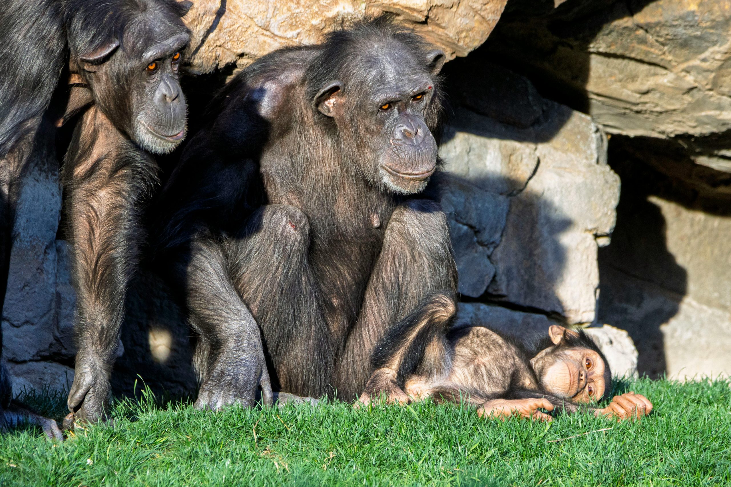 Destination Pakistan Destination Pakistan