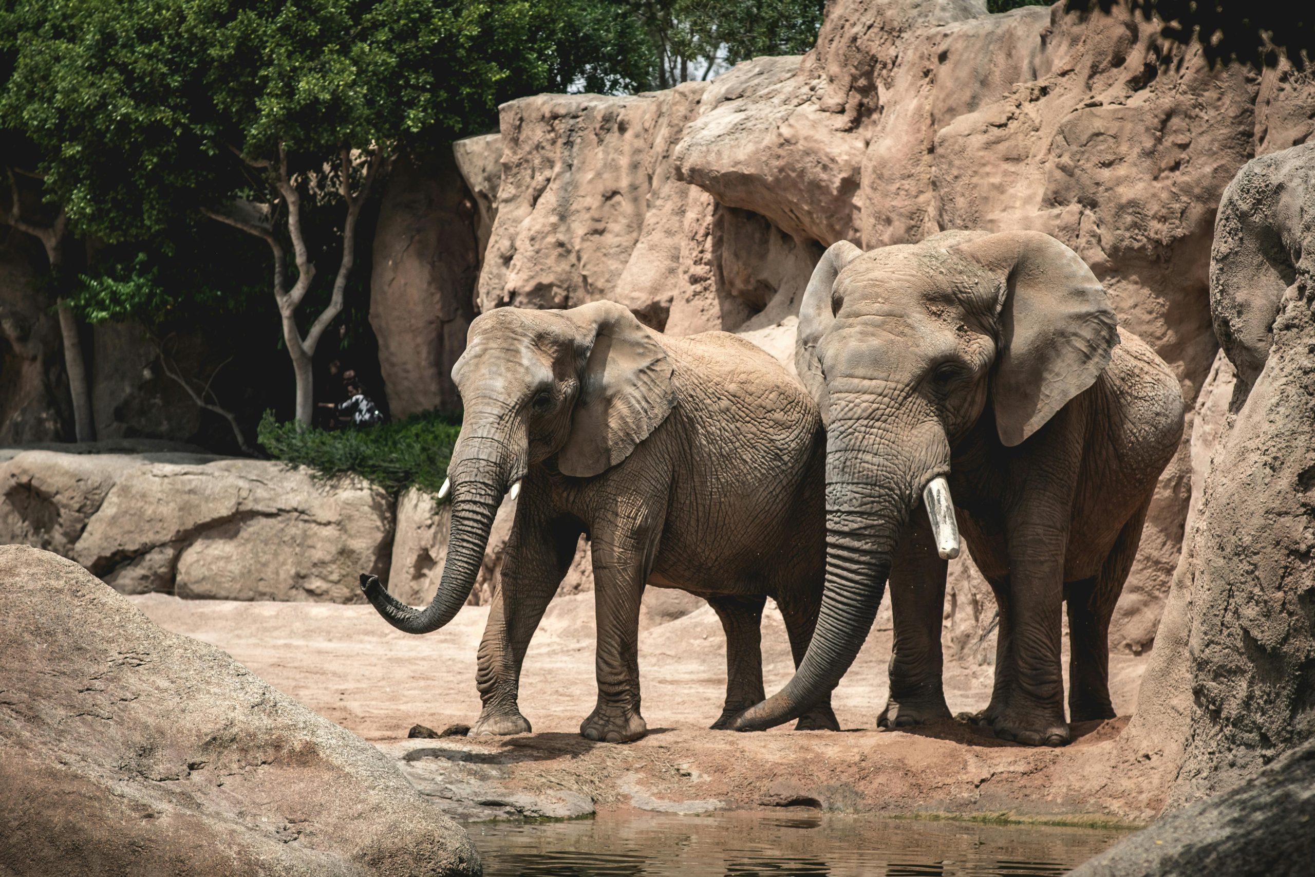 Destination Pakistan Destination Pakistan