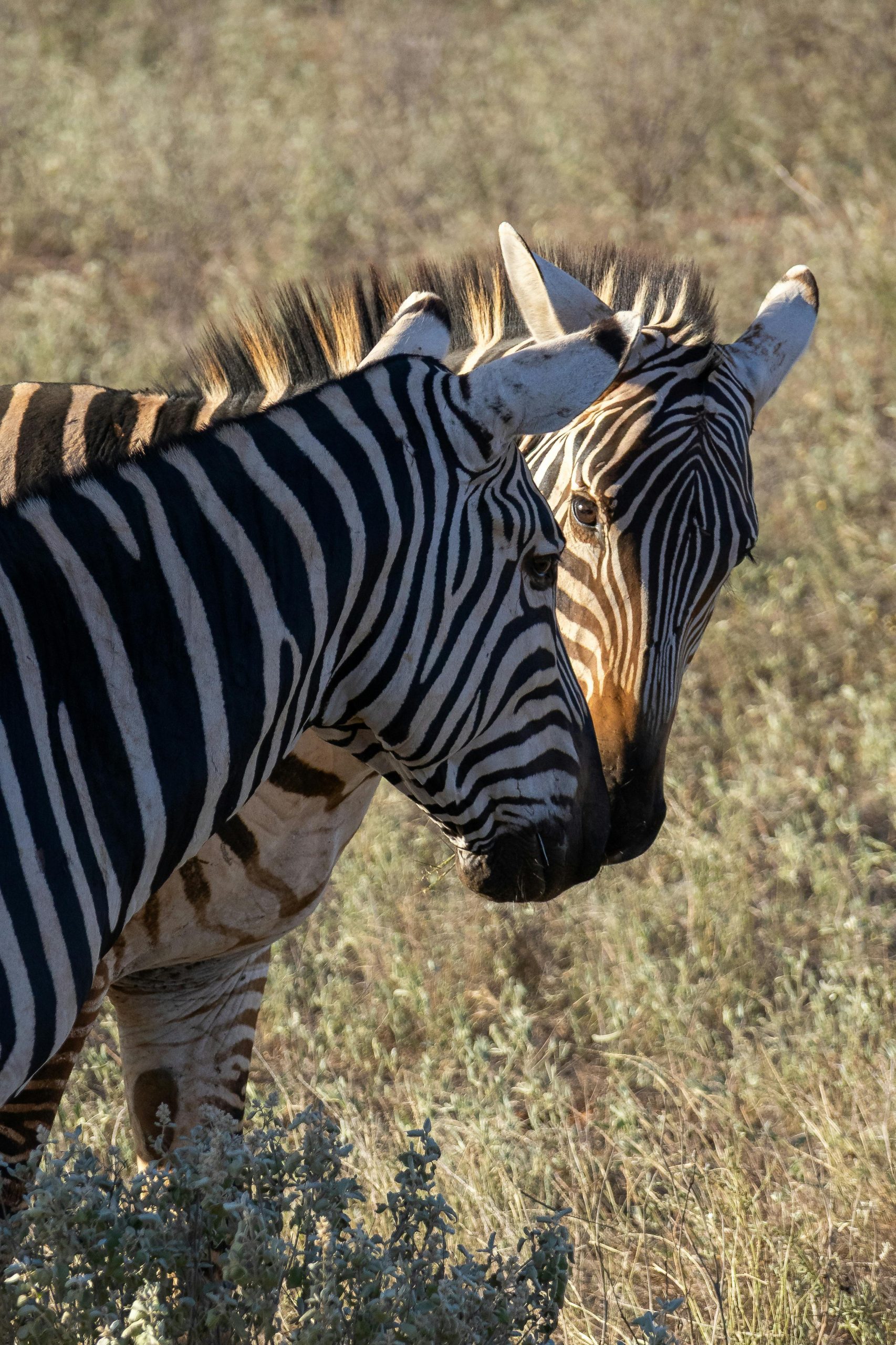 Destination Pakistan Destination Pakistan