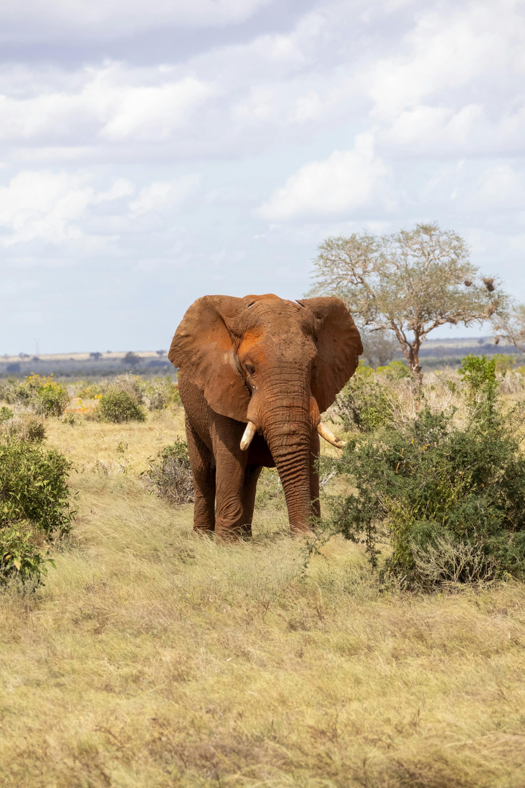 Destination Pakistan Destination Pakistan