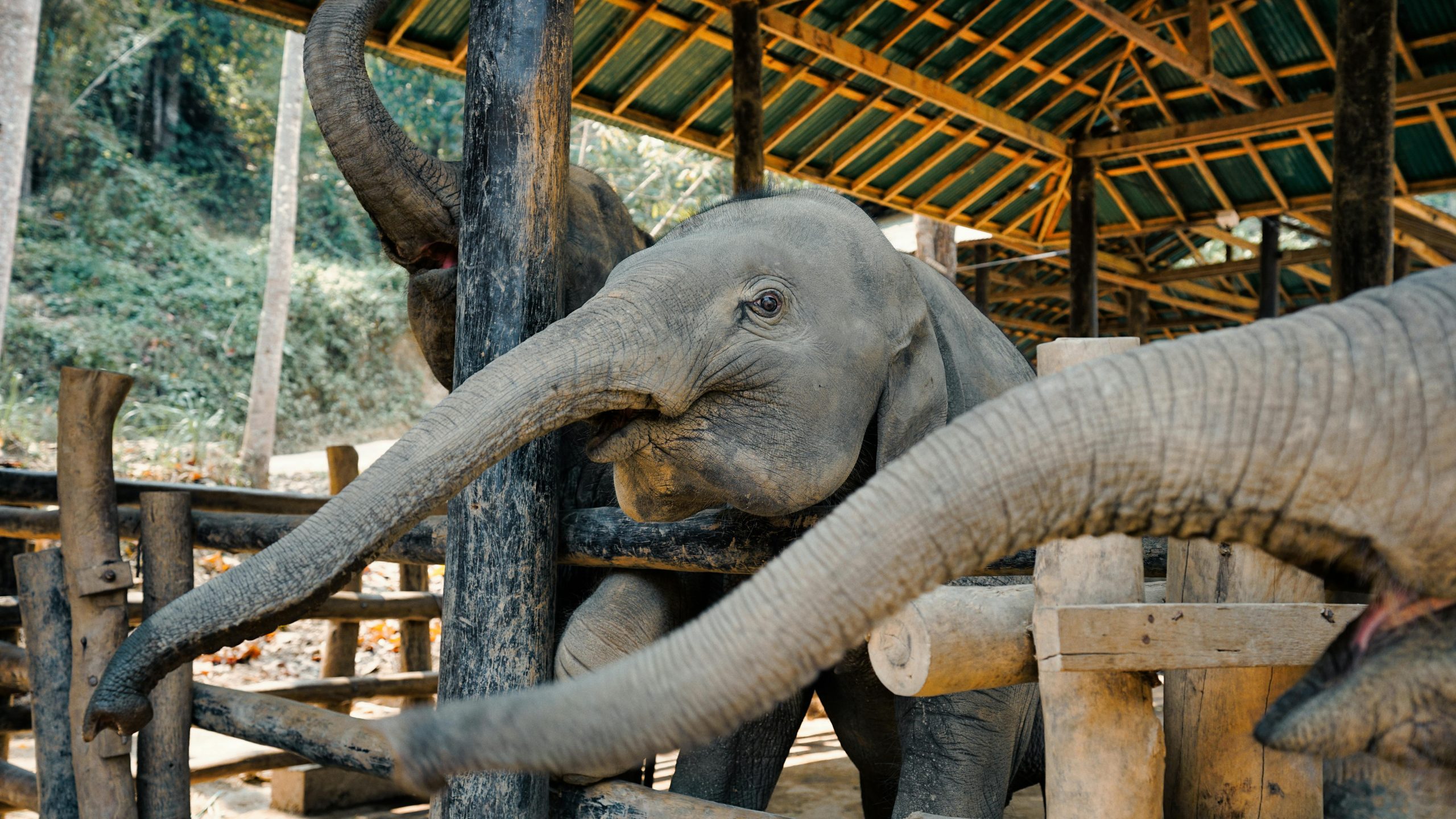 Destination Pakistan Destination Pakistan