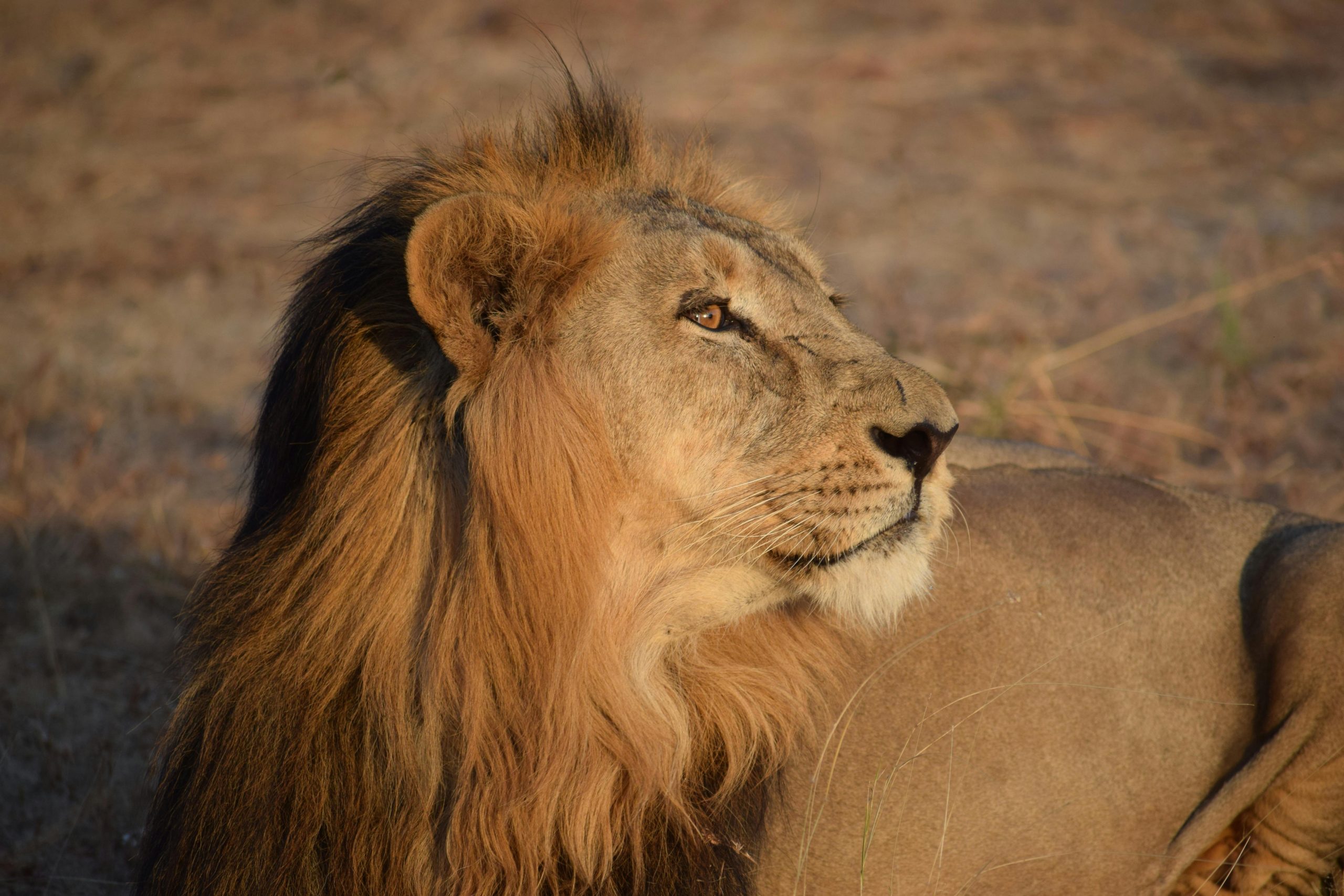 Destination Pakistan Destination Pakistan