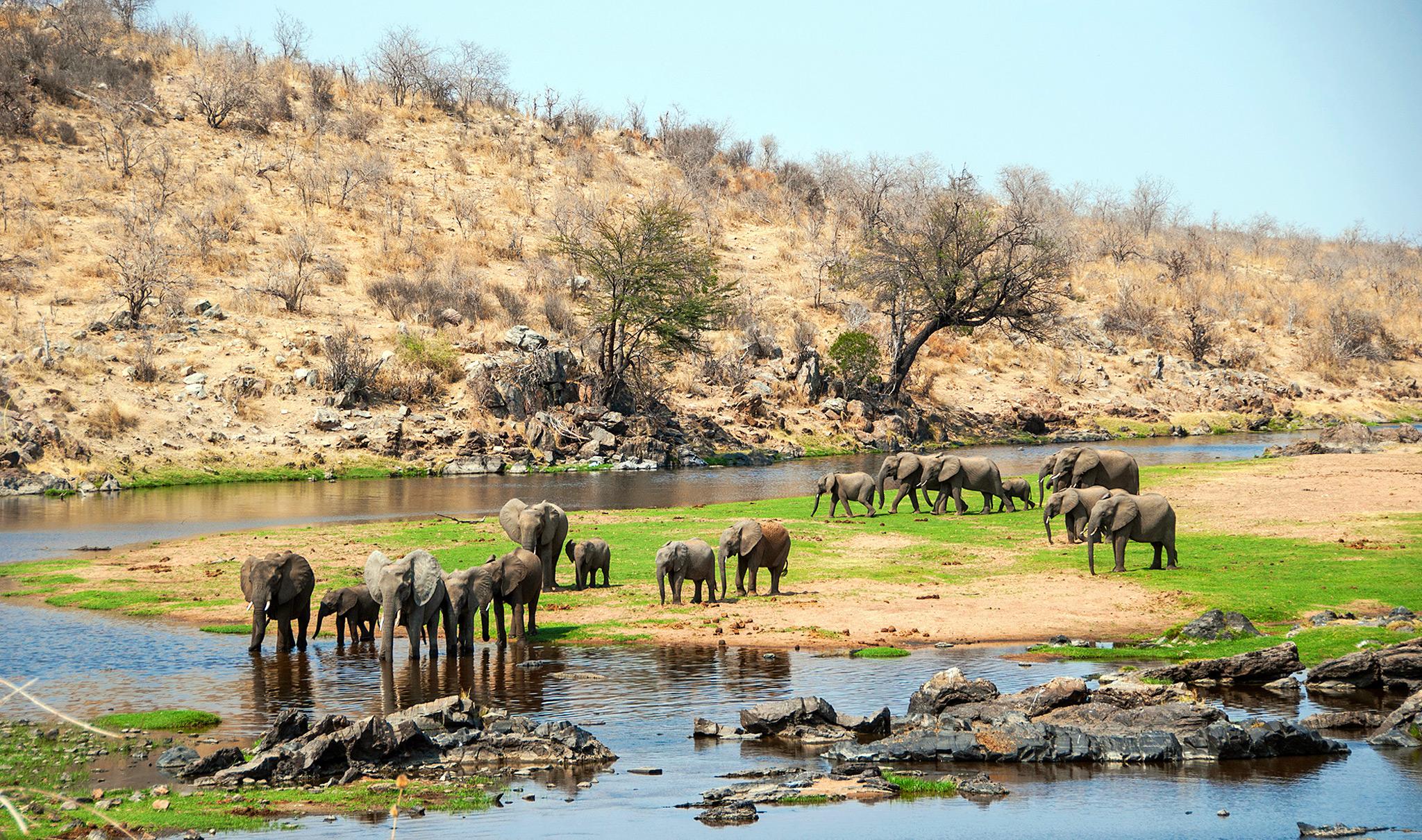 ruaha-national-park-featured