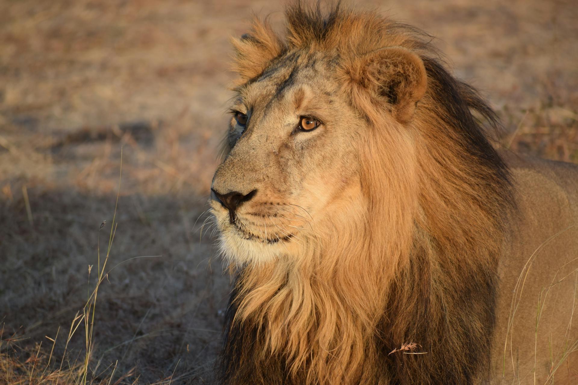 Destination Pakistan Destination Pakistan