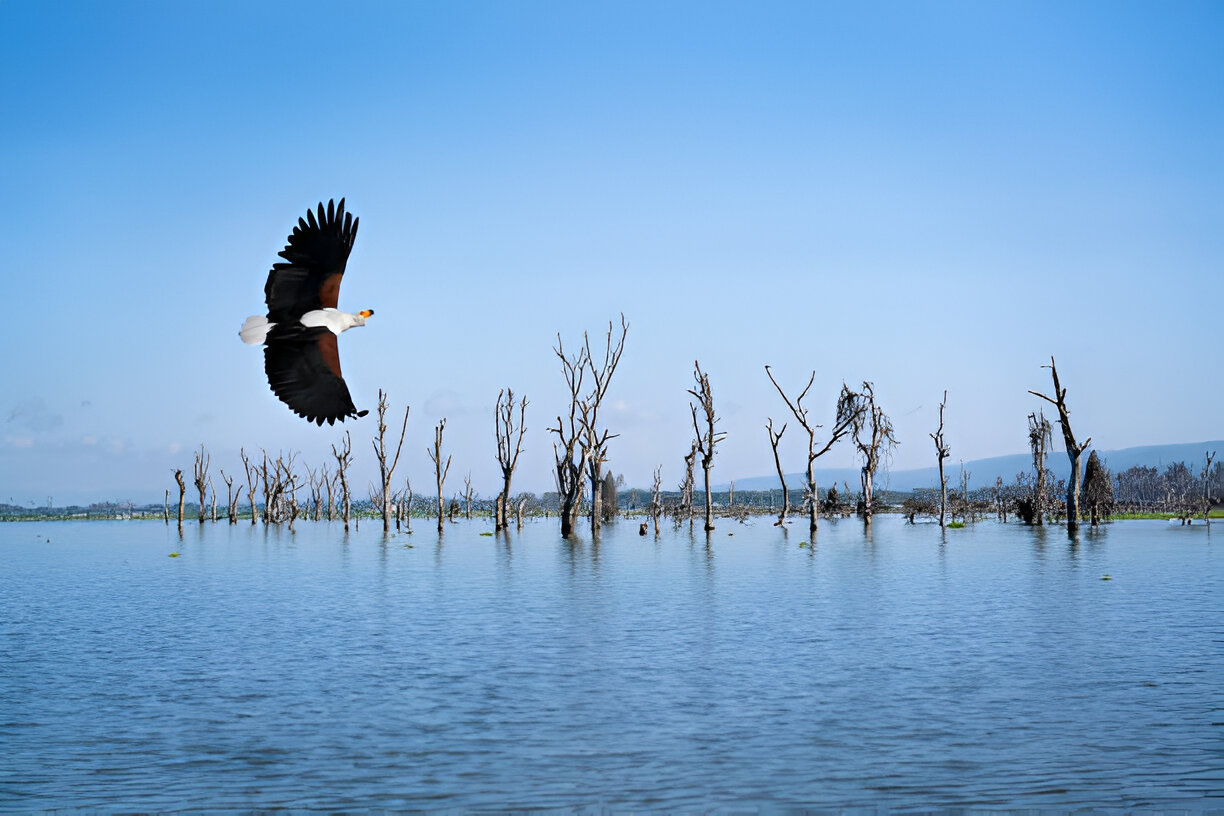 Destination Pakistan Destination Pakistan