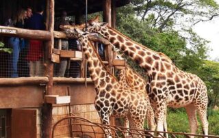 Luxury Destinations in Kenya