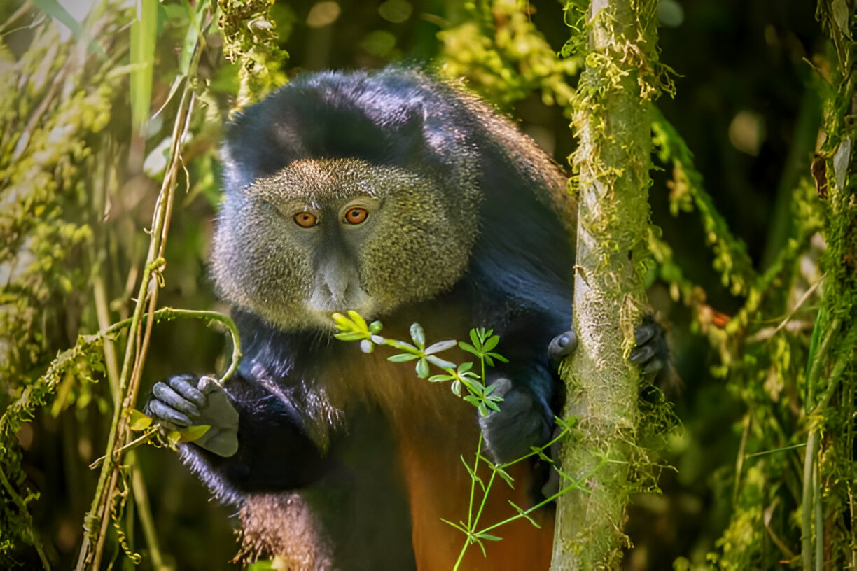 Destination Pakistan Destination Pakistan