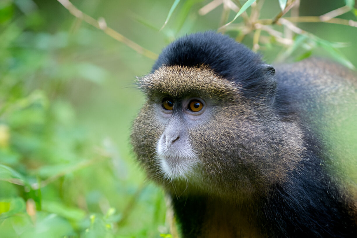 Destination Pakistan Destination Pakistan