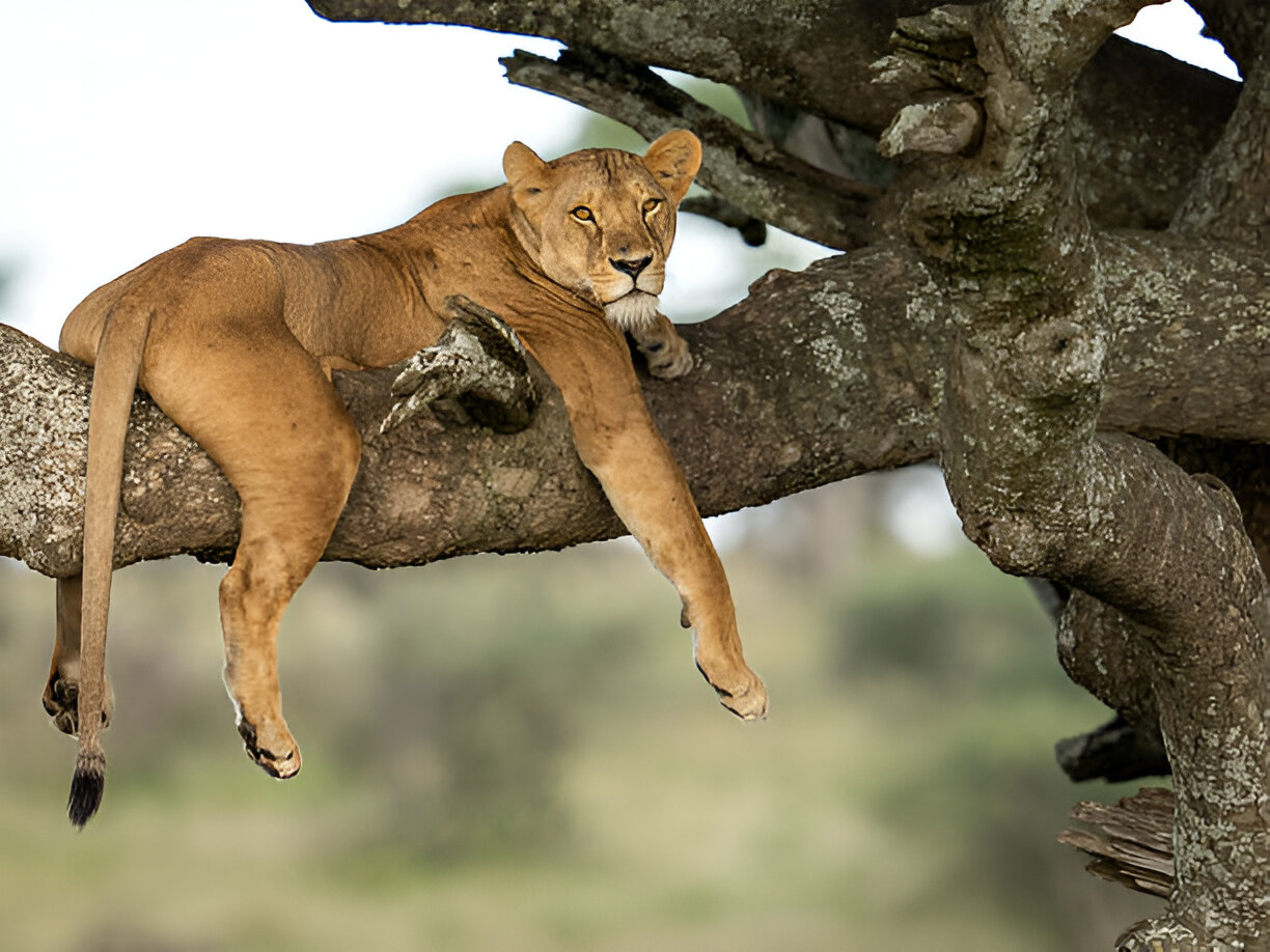 Destination Pakistan Destination Pakistan