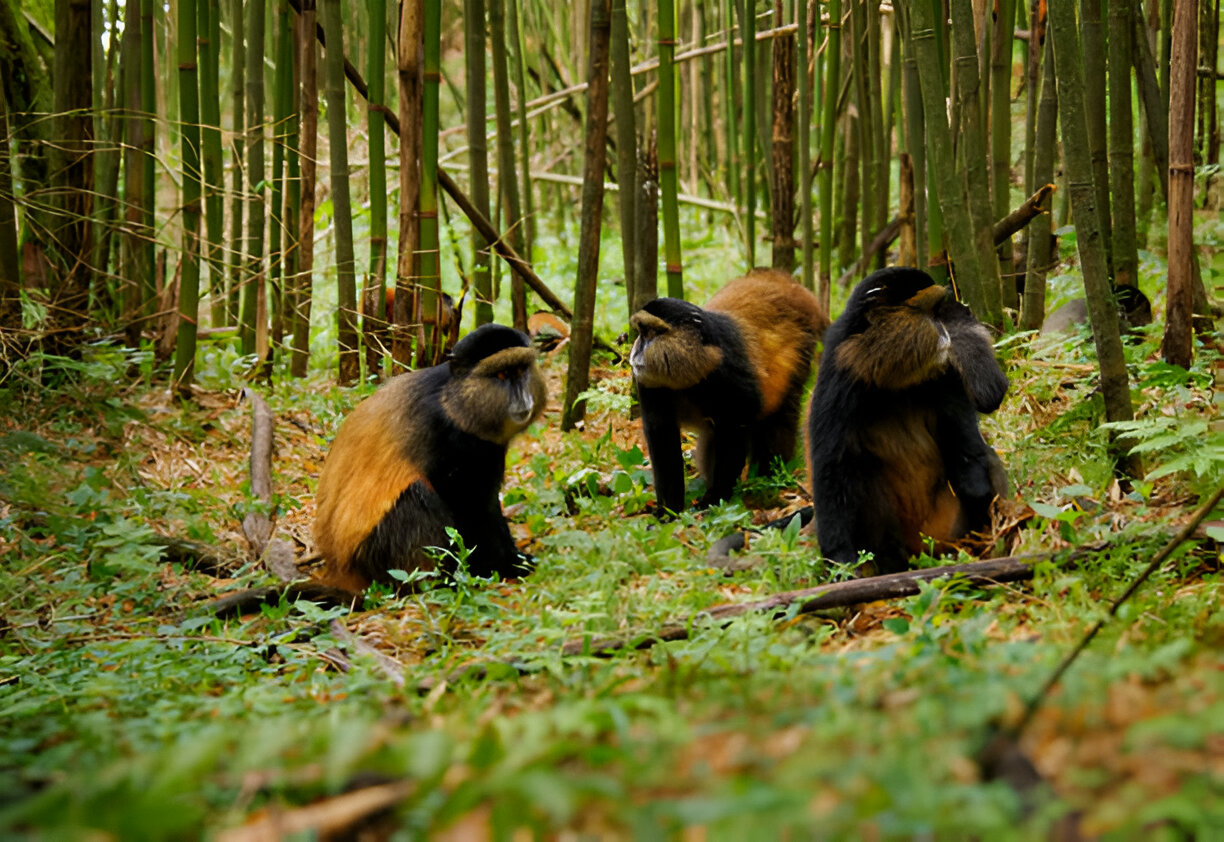 Destination Pakistan Destination Pakistan