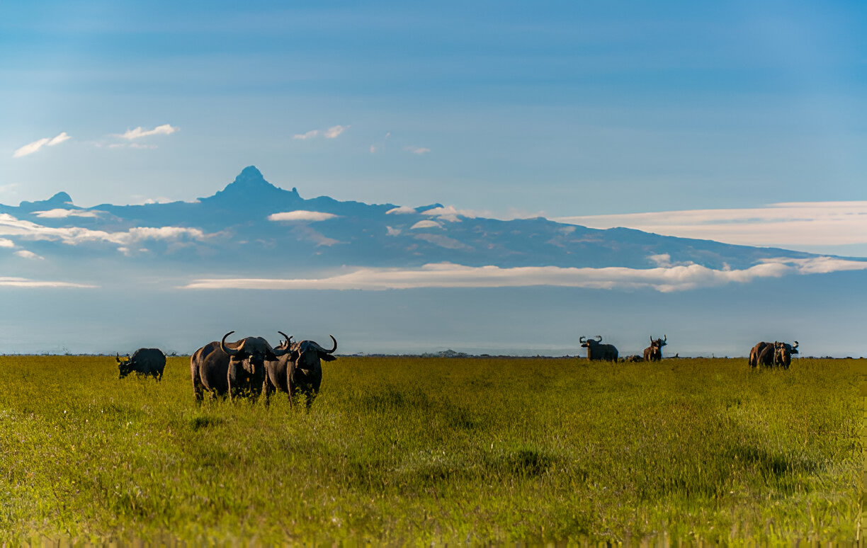 mt-kenya2