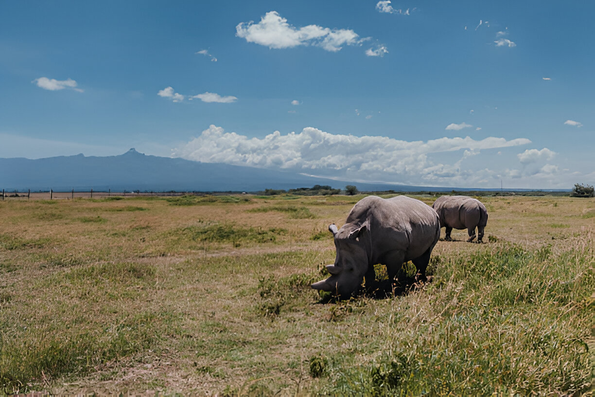 Destination Pakistan Destination Pakistan