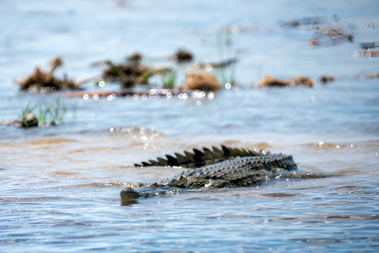 Destination Pakistan Destination Pakistan