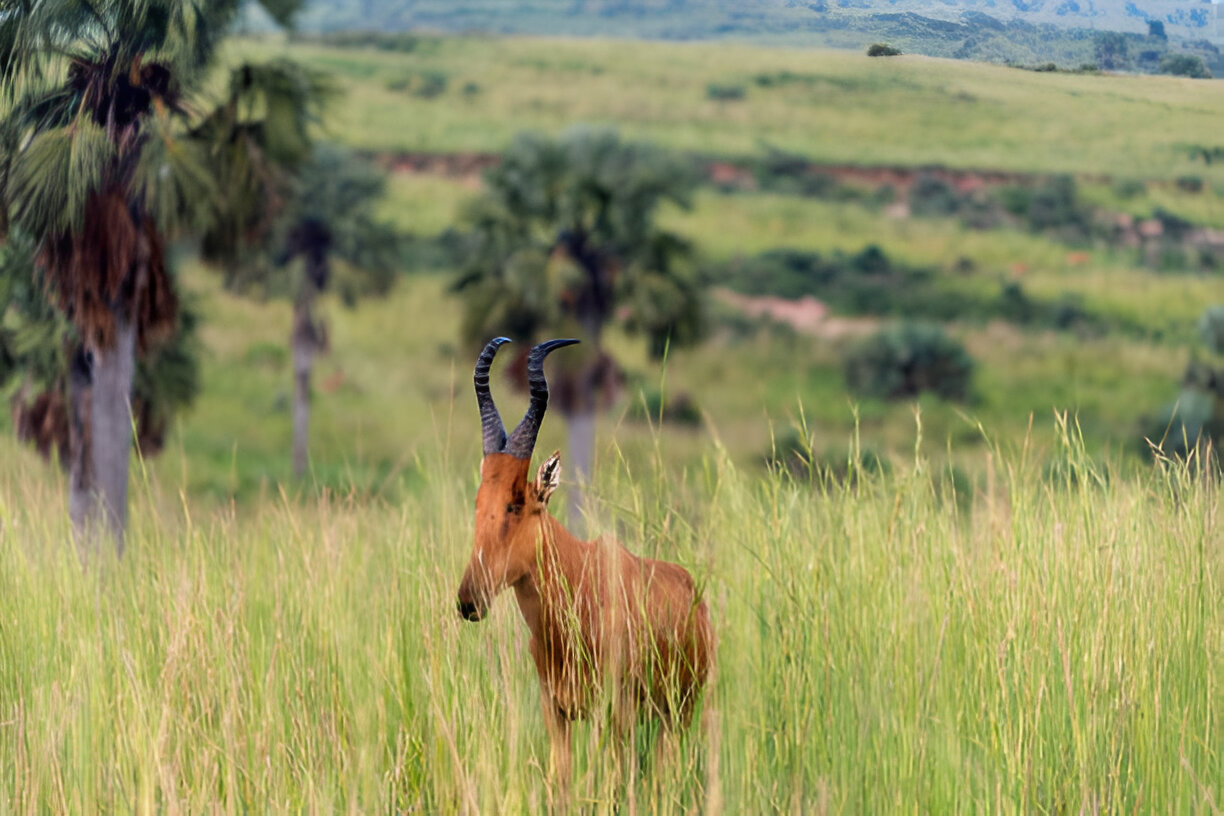Destination Pakistan Destination Pakistan