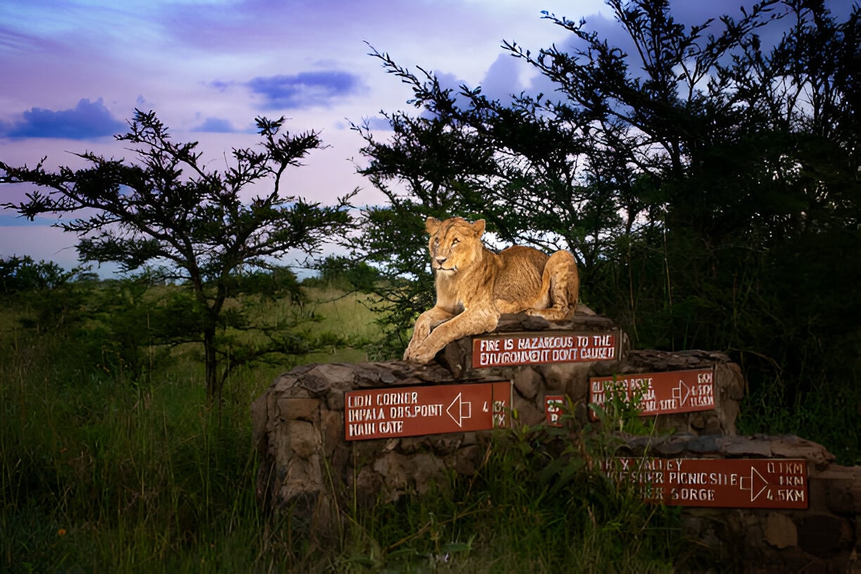 Destination Pakistan Destination Pakistan