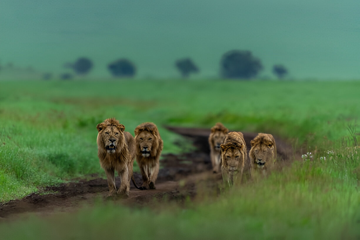 Destination Pakistan Destination Pakistan