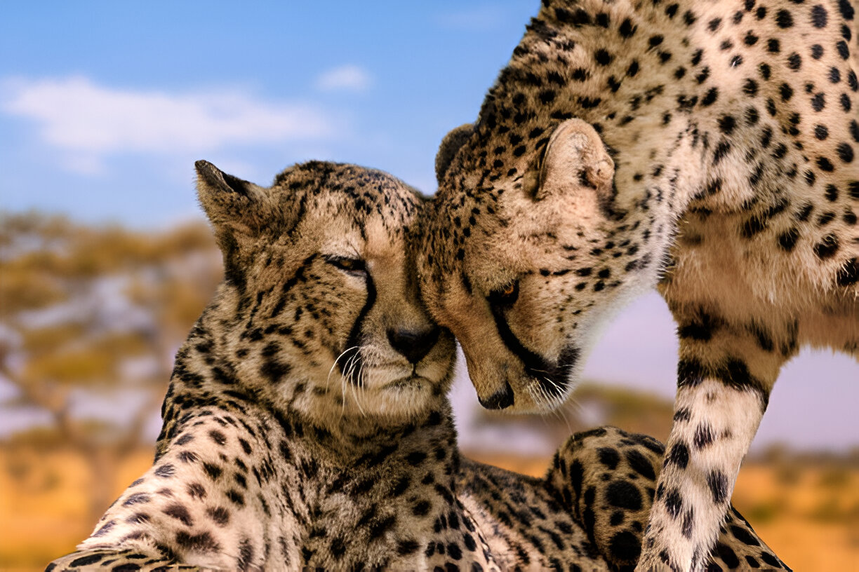 Destination Pakistan Destination Pakistan