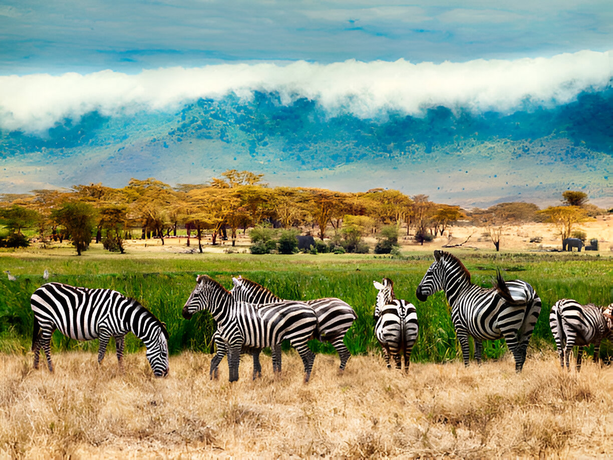 Destination Pakistan Destination Pakistan