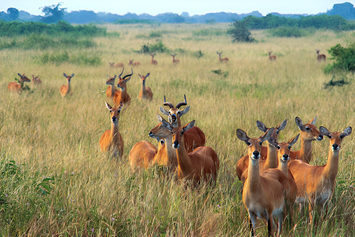 Destination Pakistan Destination Pakistan