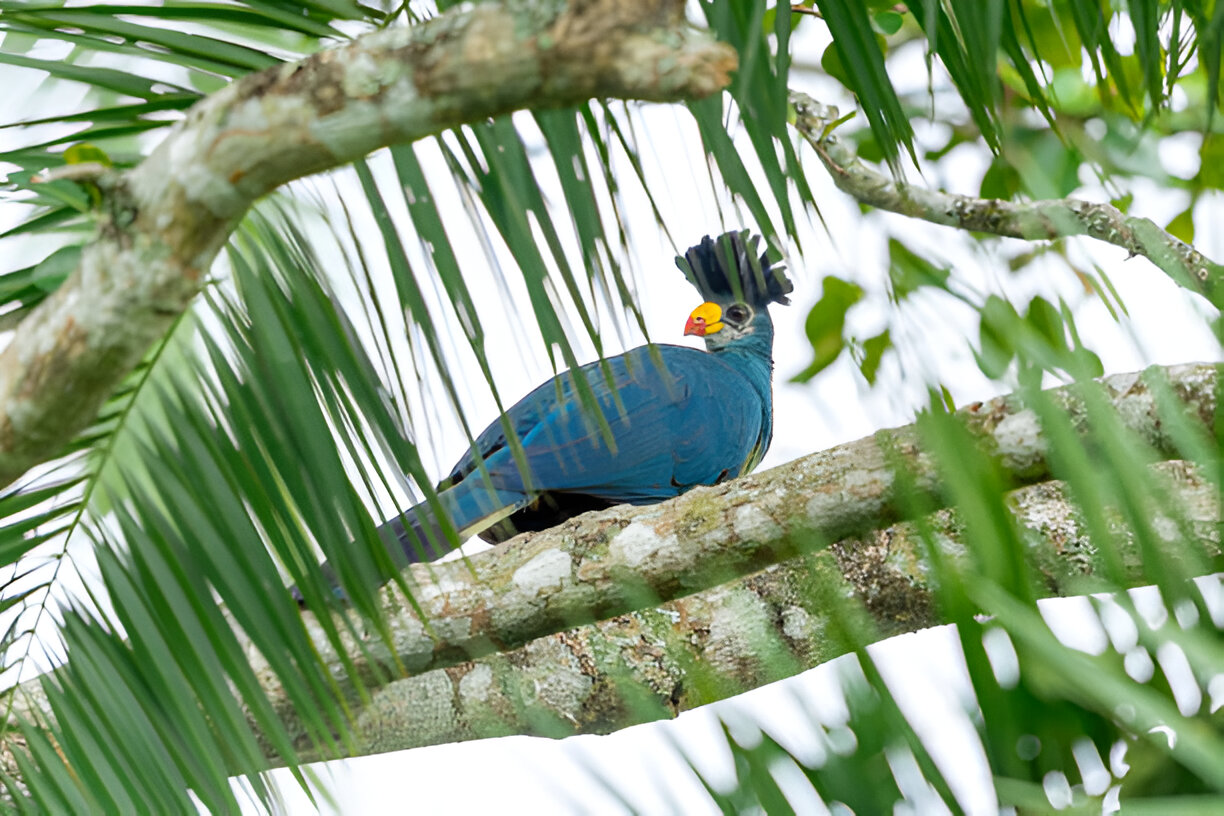 Destination Pakistan Destination Pakistan