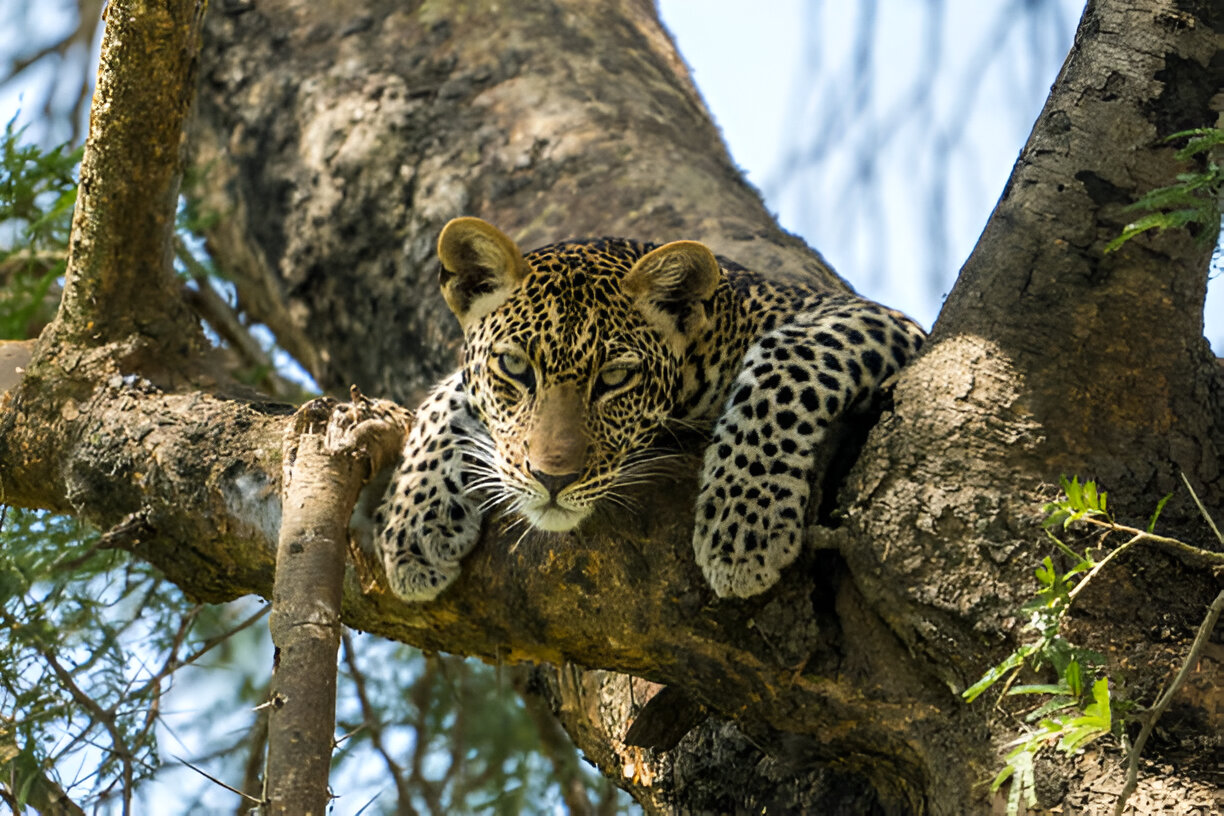 Destination Pakistan Destination Pakistan