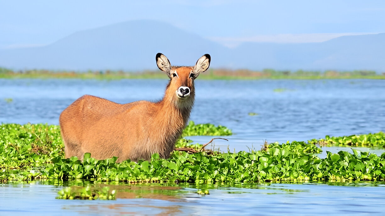 Destination Pakistan Destination Pakistan