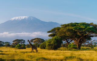 Amboseli National Park
