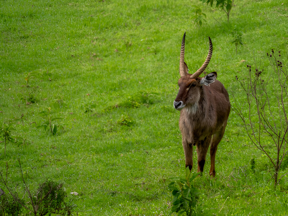Destination Pakistan Destination Pakistan