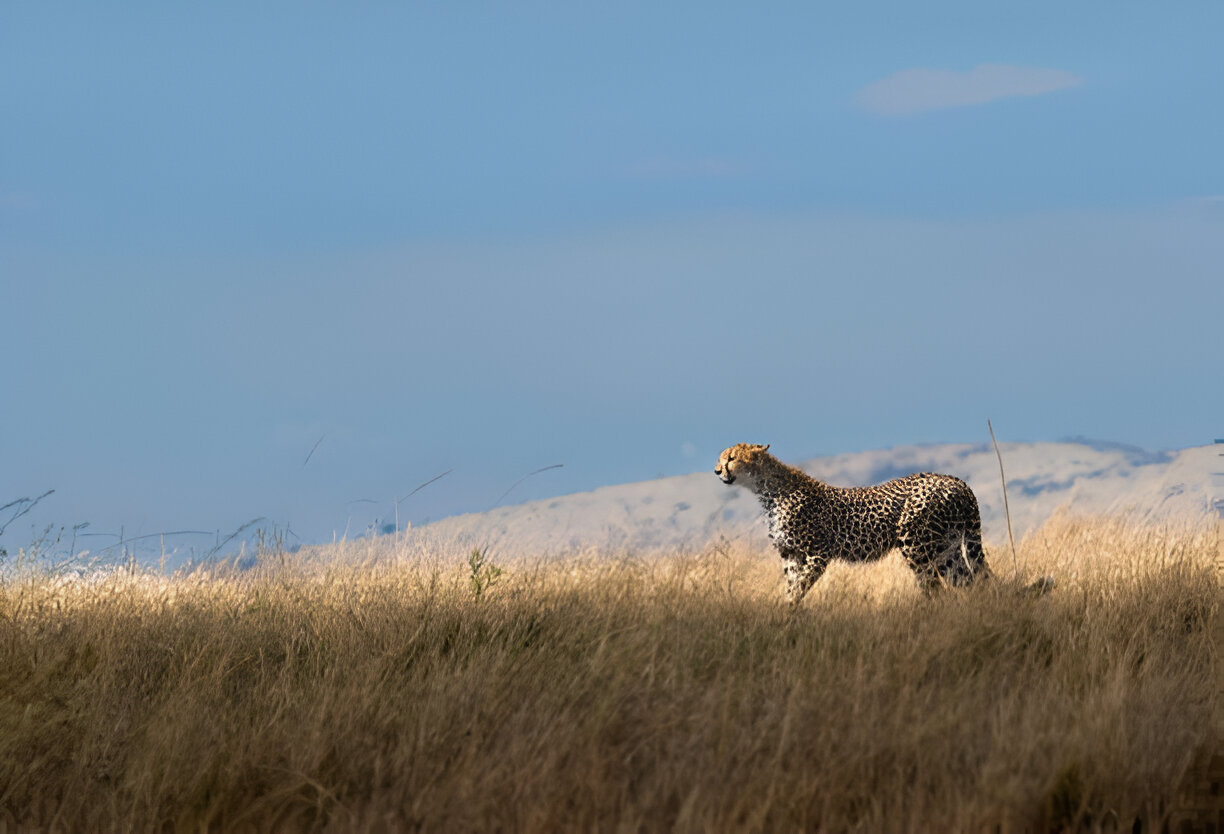 Destination Pakistan Destination Pakistan