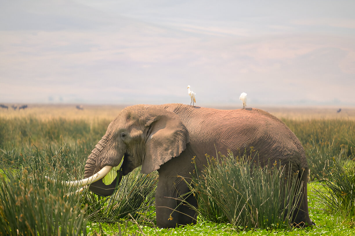 Destination Pakistan Destination Pakistan