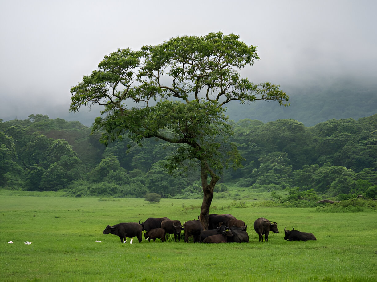 Destination Pakistan Destination Pakistan