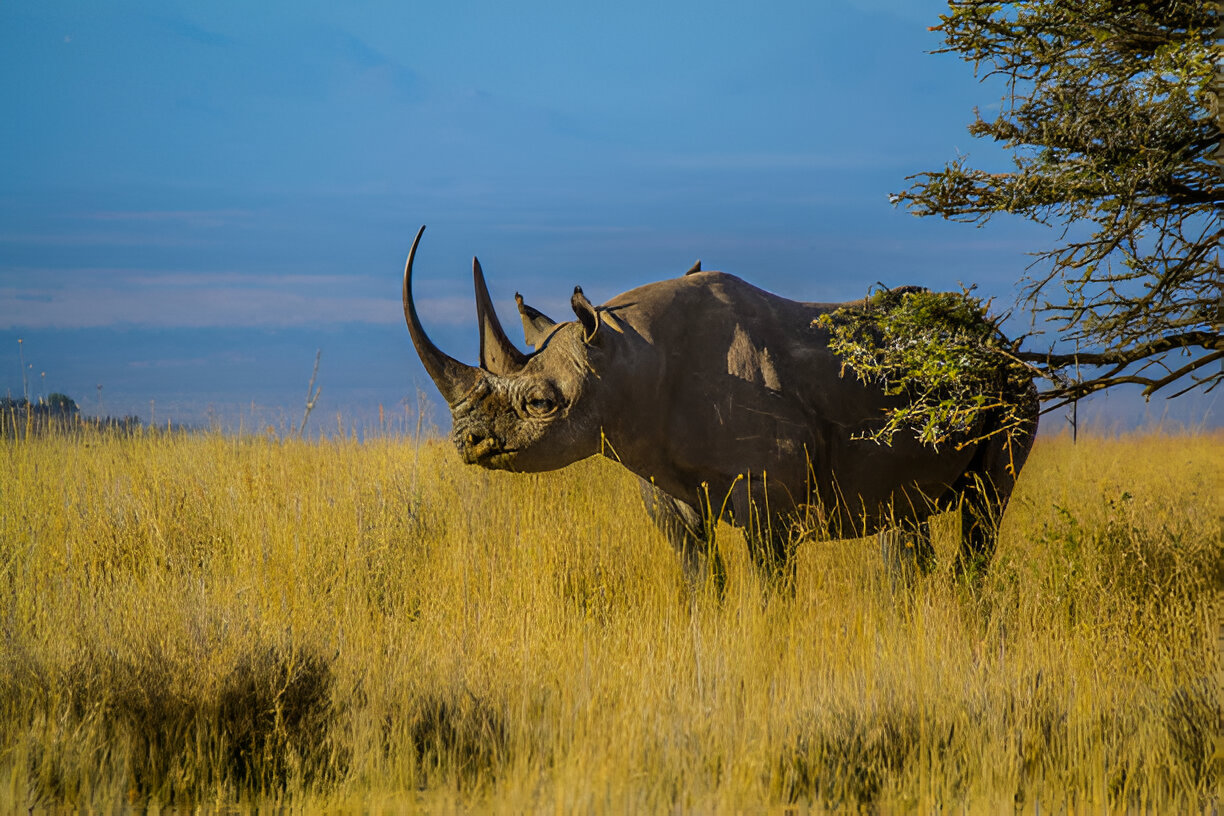 Destination Pakistan Destination Pakistan