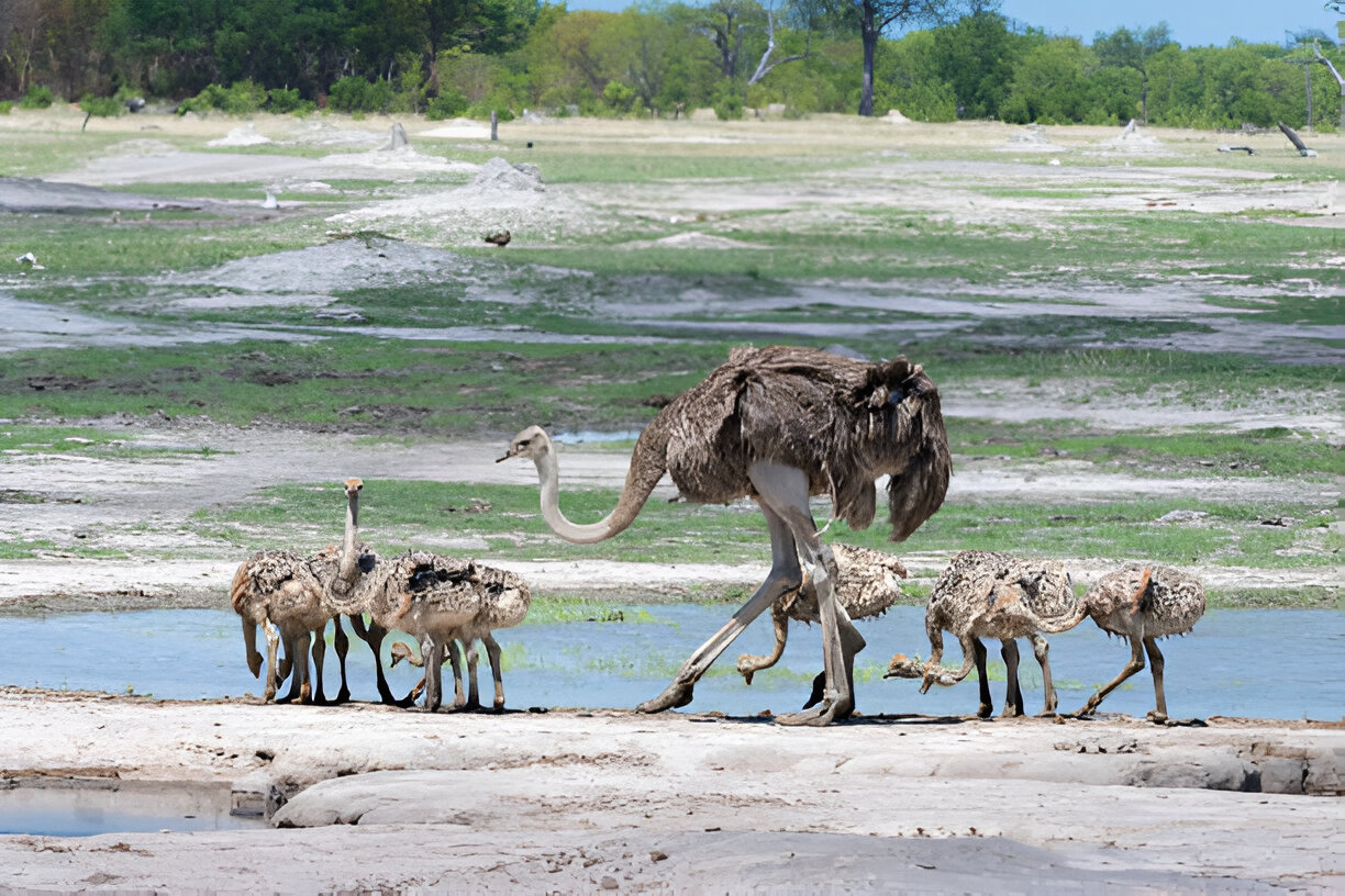 Destination Pakistan Destination Pakistan