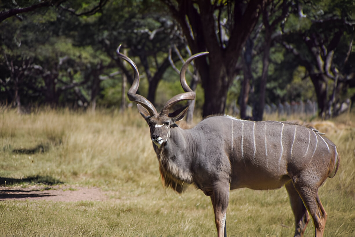 Destination Pakistan Destination Pakistan