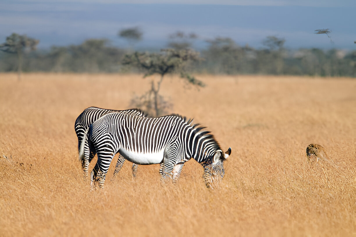 Destination Pakistan Destination Pakistan