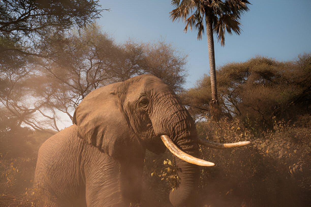 Destination Pakistan Destination Pakistan