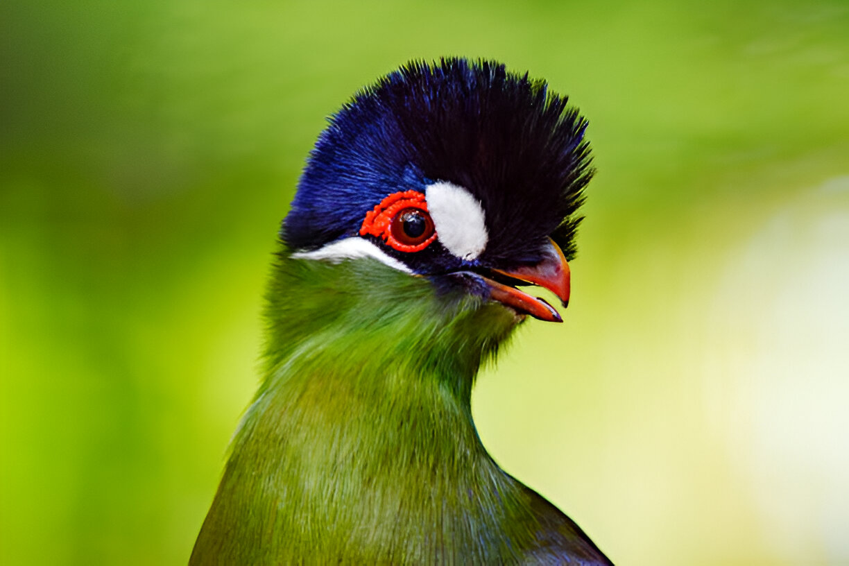 Destination Pakistan Destination Pakistan