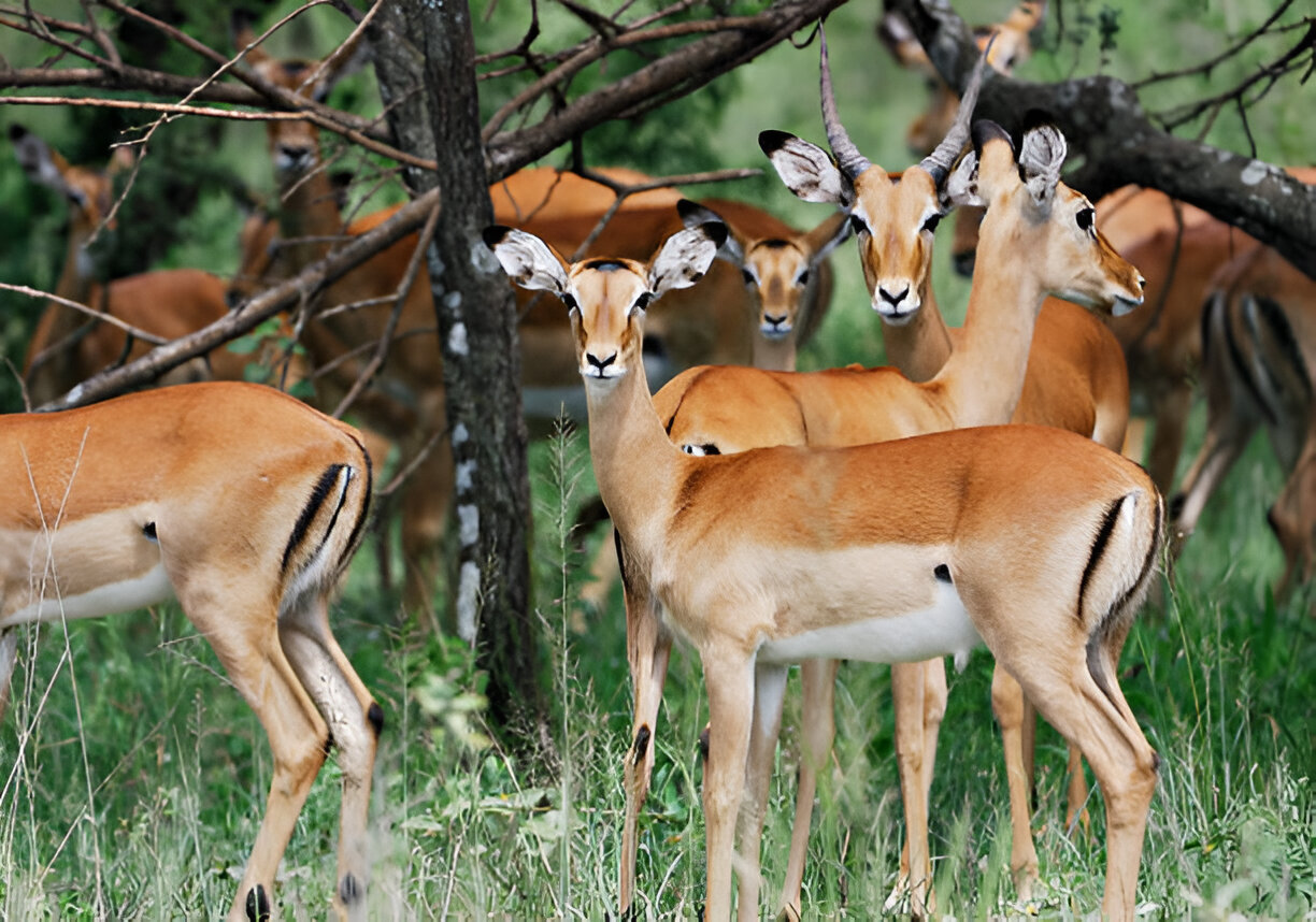 Destination Pakistan Destination Pakistan