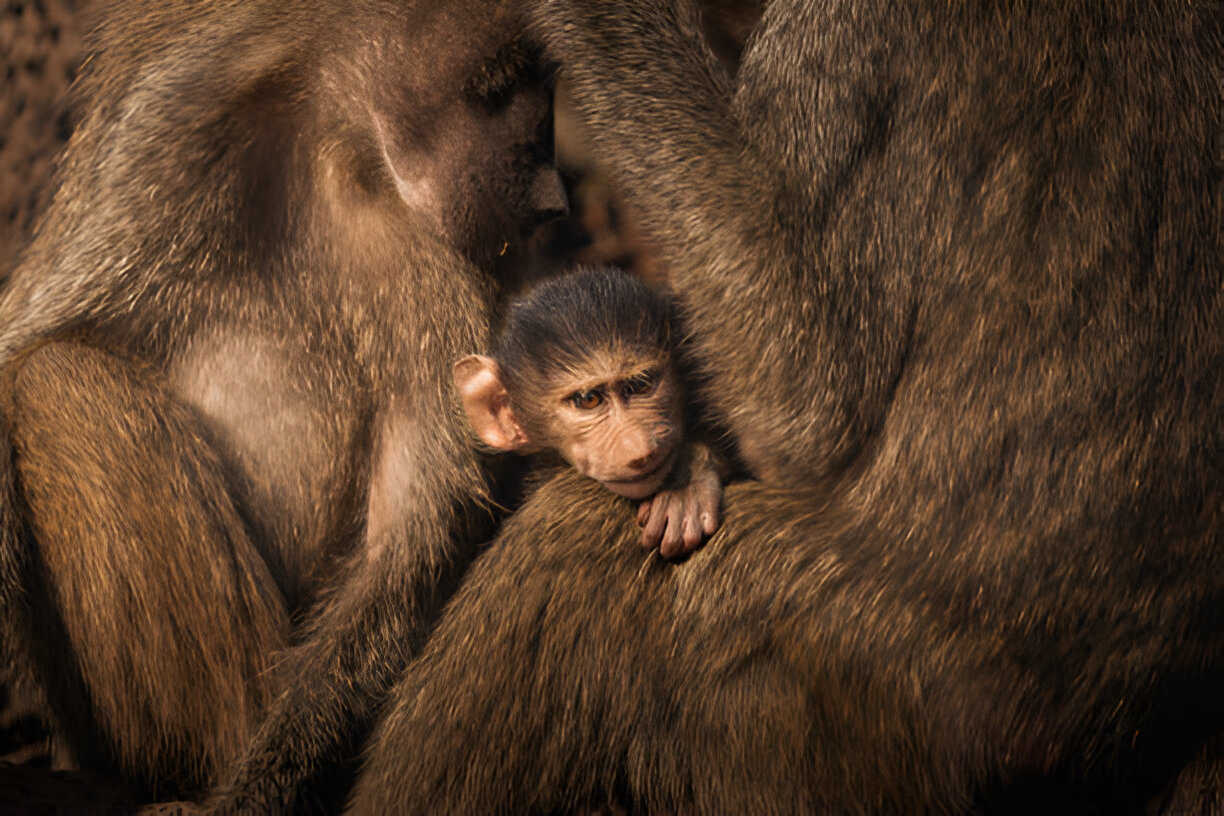 Destination Pakistan Destination Pakistan