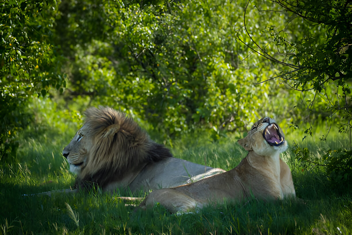 Destination Pakistan Destination Pakistan