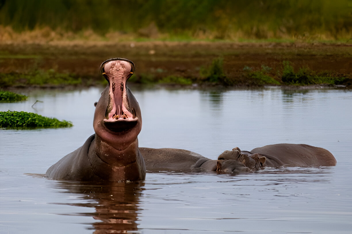 Destination Pakistan Destination Pakistan