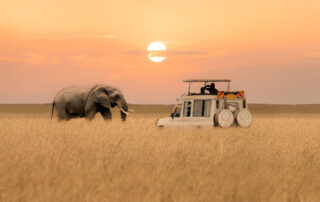 Luxury Destinations in Kenya