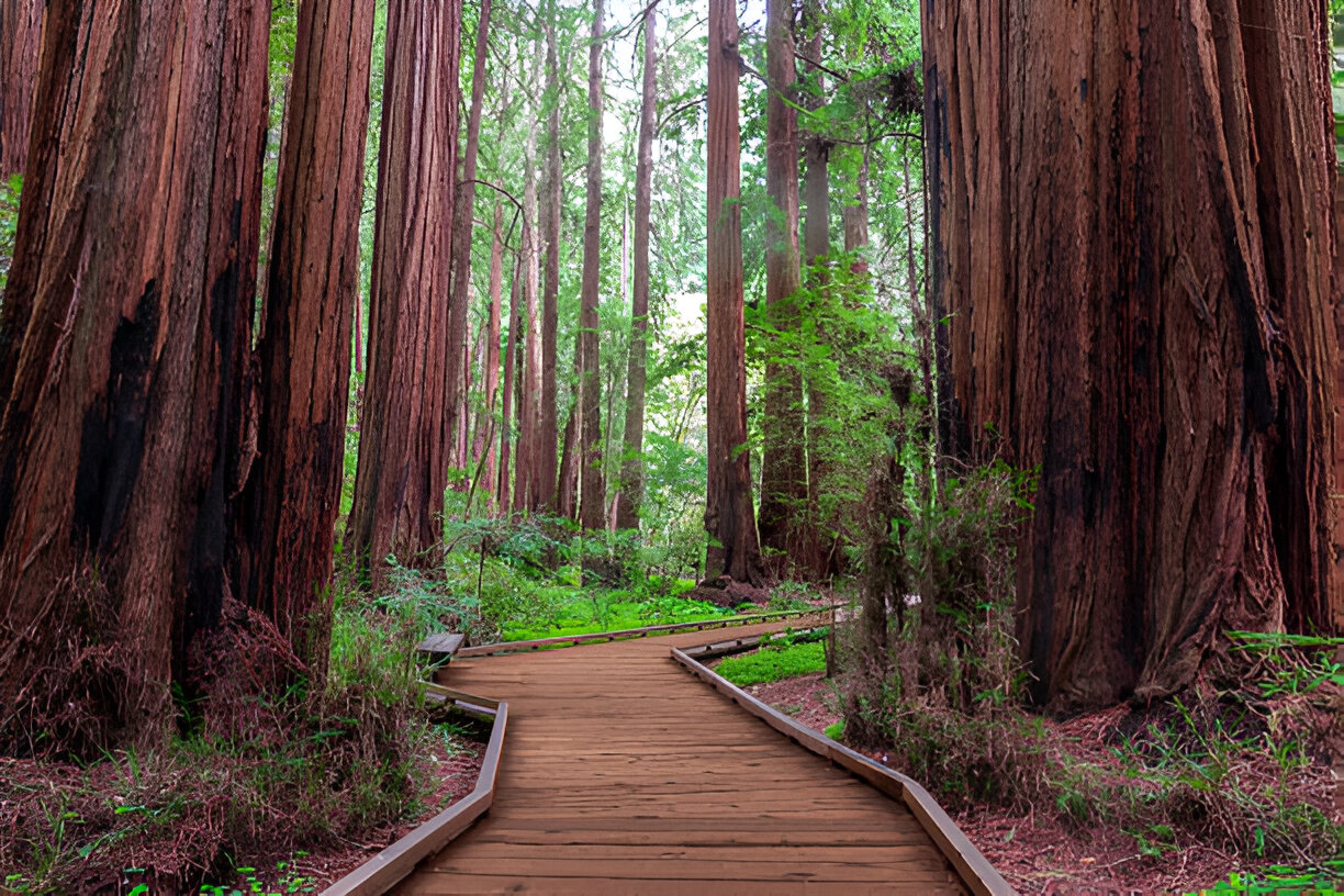 Destination Pakistan Destination Pakistan