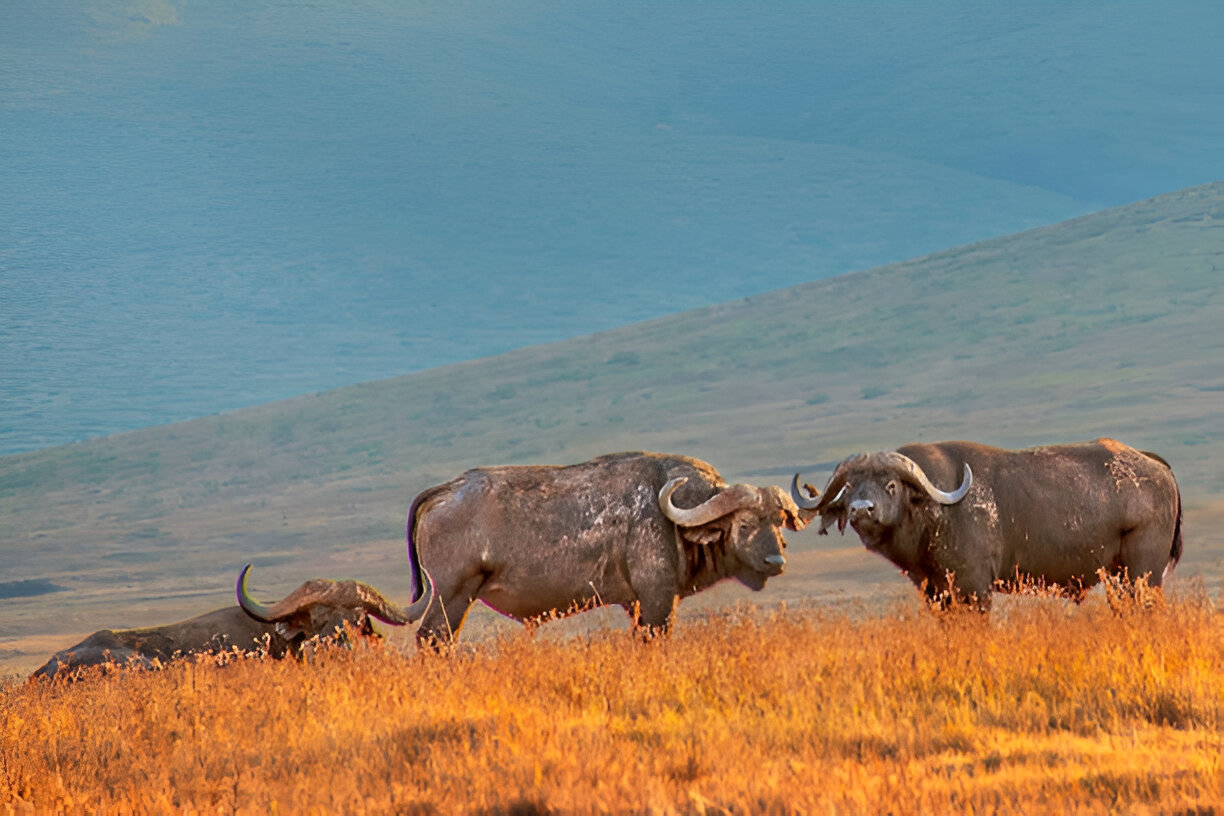 Destination Pakistan Destination Pakistan