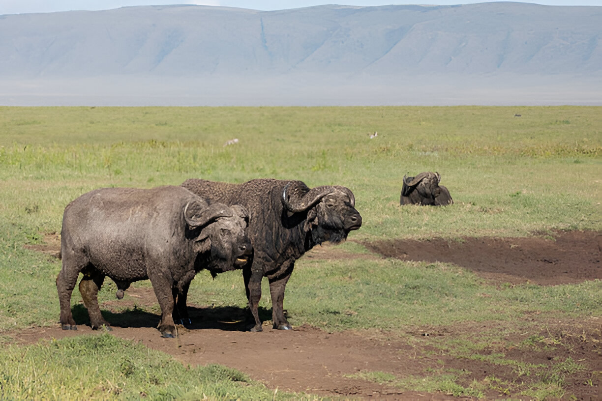 Destination Pakistan Destination Pakistan