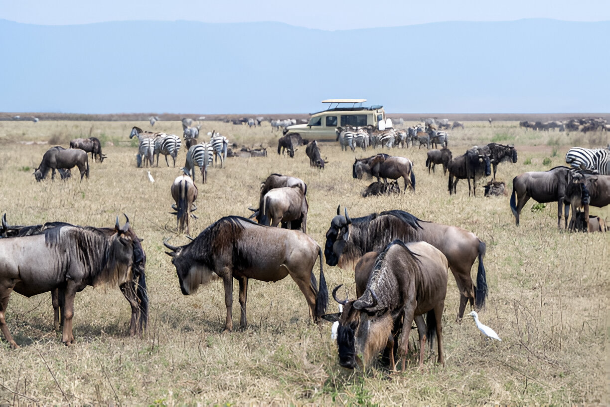 Destination Pakistan Destination Pakistan