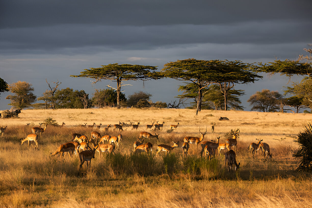 Destination Pakistan Destination Pakistan