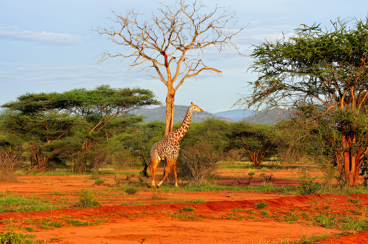 Destination Pakistan Destination Pakistan