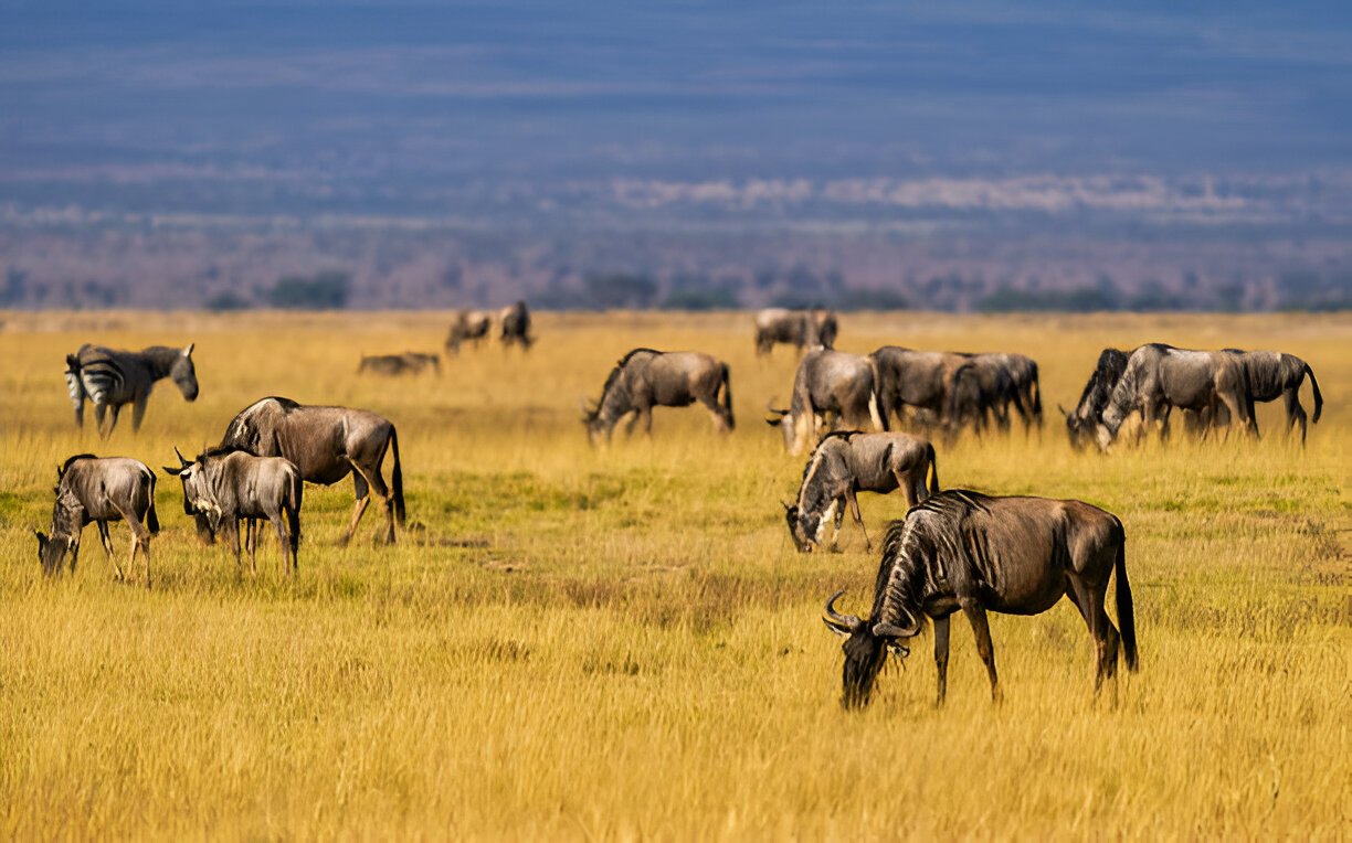 Destination Pakistan Destination Pakistan